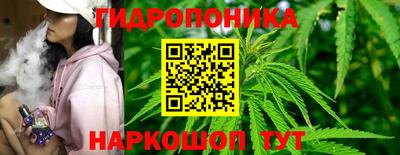 дживик Лесосибирск
