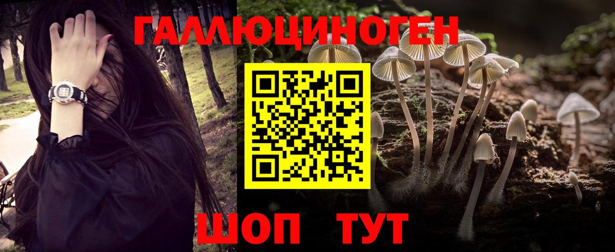 Бузулук  Псилоцибиновые грибы мицелий  Вход с VPN 